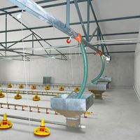 Système d'alimentation automatique pour poulets AGRIESO, prix d'usine, avec mangeoire pour poulets de chair et reproducteurs, garantie 1 an