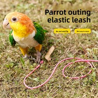 Birdstory Parrot Flying Rope Ultra-light Non-injurious Bird Walking Training Tool Outdoor GN00250 Tiger Skin Cockatiel