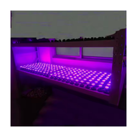 Alta calidad E10 12V/24V/60V/110V AC 220 W 150LM 16SMD Parque Temático Lámpara LED Luz de entretenimiento LED