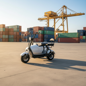 Triciclo Eléctrico para Turismo, Motocicleta Eléctrica para Adultos, Triciclo Eléctrico Portátil, Triciclo Eléctrico para Personas con Discapacidad - Product Image 1