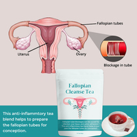 Thé Détoxifiant des Trompes Sans Caféine Marque Blanche, Thé de Bien-être Utérin et Soutien à la Fertilité