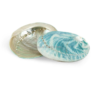 <span class=keywords><strong>Coquillages</strong></span> d'ormeau et <span class=keywords><strong>coquillages</strong></span> marins en vrac pour aménagement paysager d'aquarium, décoration photo d'intérieur et accessoires <span class=keywords><strong>de</strong></span> décoration - Product Image 1