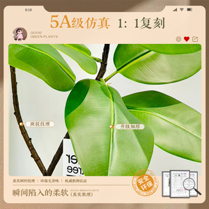 Arbre artificiel en caoutchouc Dream Castle, 100cm-200cm, plante décorative sur pied pour salon et balcon - Product Image 4