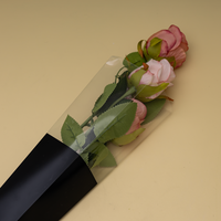 Boîtes d'emballage pour fleurs en PET durables personnalisées pour les fleuristes