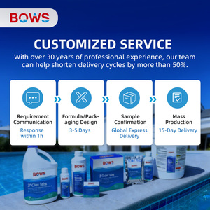 Detergente Liquido Professionale per la Rimozione del Calcare da Piscine e SPA, Formula Personalizzata 1L, Produzione in Fabbrica, Consegna Rapida, ODM - Product Image 4