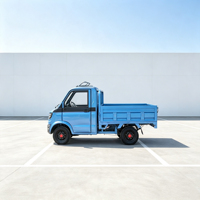 Nouveau camionnette électrique à quatre roues, usage commercial et domestique, transport de marchandises agricoles, capacité de 800 kg