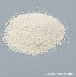 L-Lisina HCl Grado Alimentare, Integratore Nutrizionale di Aminoacidi, Purezza 98,5%, Polvere Bianca, Certificato ISO9001/Halal/Kosher - Product Image 3
