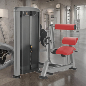 Máquina de Ejercicios de Extensión de Espalda con Selección de Carga por Pin QLK Fitness Equipment LK-020, Equipo Comercial para Gimnasio - Product Image 4