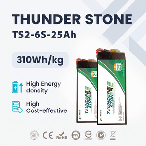 Batterie semi-solide Thunder Stone TS2 pour drone UAV, 6S 25000mAh, 800 cycles, LiNiMnCoO2, décharge 10C, OEM/ODM, 310Wh/kg - Product Image 1