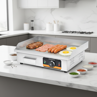Plancha Eléctrica Comercial para Hoteles y Restaurantes, Estufa para Panqueques de Sobremesa, Equipo de Horneado para Servicios de Catering Escolar