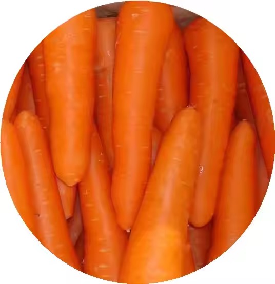 Premium Organic Frozen Fresh Carrots China Multivitamin Rich Vegetables IQF Certified Steamed Dried Processed Cube Diced Parts