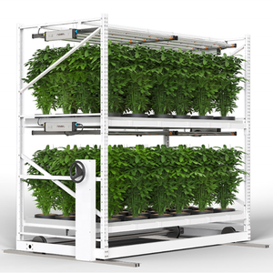 Customizable Small Greenhouse with Movable Tide Rack Seedbed Tray Rolling <strong>Table</strong> for Tomato Hydroponics Planting Agriculture - Product Image 1