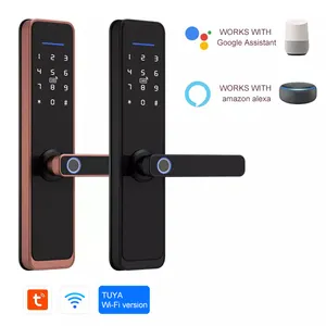 TTLock Wi-Fi remote control smart electronic slim digital lock touch password smart door lock with fingerprint and keys