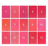 Palette de rouge à lèvres mat 15 couleurs, longue tenue, imperméable, haute pigmentation, couleur de lèvres veloutée, maquillage OEM, étiquette privée, vente en gros, personnalisable