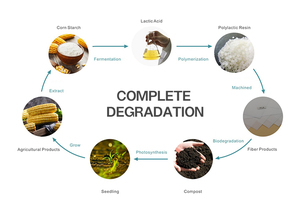 Planteerbare Zaadpapier Stof Pla Niet Geweven Ingebedde Zaden Wateroplosbaar - Product Image 5
