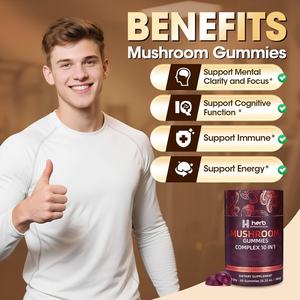 OEM/ODM Private Label Supplements Lion'Mane Ashwagandha Mushroom <b>Gummies</b> Energy Providing <b>Sleep</b> Assist Mushroom Gummy - Product Image 4