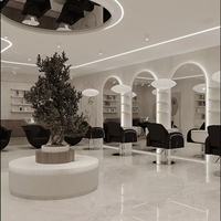Mobilier haut de gamme pour salon de coiffure : Postes de coiffage personnalisés, chaises, miroirs, unités de lavage, vitrines, design d'intérieur