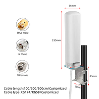 Antenne RF omnidirectionnelle verticale en fibre de verre 12dBi 698-2700MHz à double câble 50W 4G LTE MIMO pour répéteur de signal 2G 3G GSM LoRa LPWAN