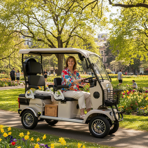 Quadricycle électrique BRT Smart Luxury Design, longue portée, haute vitesse, OEM, écologique, batterie 60V, Chine, 4 roues, 800W, 4 places - Product Image 1