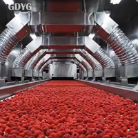 Stabiele wereldwijde distributeur van fruitproducten, op maat verpakte, lang houdbare IQF diepvriesframbozen van hoge kwaliteit, hele IQF diepvriesframbozen