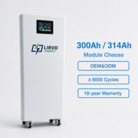 Batterie LIRVO 51.2V 300Ah 51.2v Lifepo4, pack de batteries hybride pour stockage d'énergie solaire, 15kWh, cellules 18650 pour stockage d'énergie domestique
