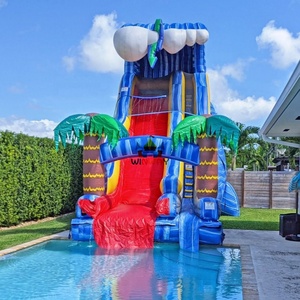 Trẻ Em Trượt Nước Sản Phẩm Bơm Hơi Cho Người Lớn Và Trẻ Em Thương Mại Hot Bán Bơm Hơi Khổng Lồ Trượt Nước Cho Hồ Bơi - Product Image 1