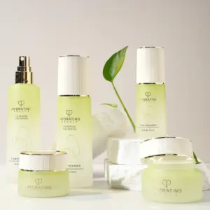 Luxury Eco-friendly 30g 50g 40ml 100ml 120ml Cosmetic Packaging Set Skincare Cream/lotion Glass Bottle With Pump