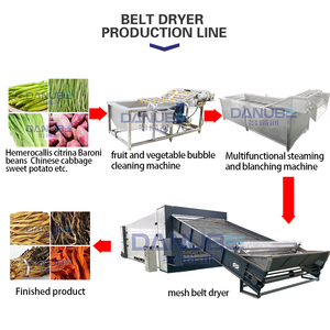 High Productivity Vegetable Mesh Belt Dryer Daylily Drying Machine Daylily Cleaning and Drying Processing Line Daylily Dryer - Product Image 5
