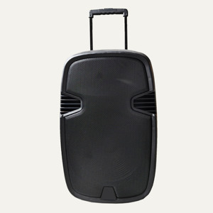 ระบบลำโพง PA ระดับมืออาชีพ 250W วูฟเฟอร์ 15 นิ้ว LF รองรับไฟฟ้า 220-240V AC พร้อมแอมพลิฟายเออร์ในตัว ลำโพงพลาสติกสำหรับใช้งานกลางแจ้ง - Product Image 1