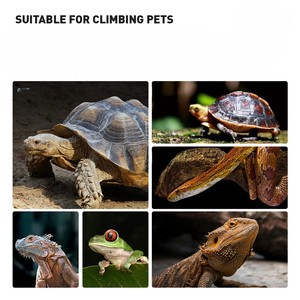 Atmungsaktives Großes Reptilien-Terrarium Neues Luxuriöses Langes Reptilien-Terrarium Maßgefertigtes Reptilien-Gehege für Eidechsen, Hornfrösche, Spinnen und Geckos - Product Image 5