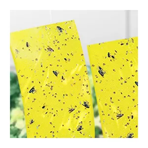 공장 직접 맞춤형 실내 과일 파리와 모기 비행 곤충 노란색 접착제 스티커 버그 스티커