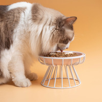 Shengfeng Bol en céramique pour chat bol de nourriture assiette en conserve assiette à collation support de cou de jambe haute mangeoire pour chat