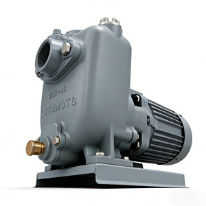 Pompe auto-amorçante Kawamoto Gso 1 CV, moteur électrique triphasé, raccord à bride, diamètre de tuyau de refoulement 1/2 po - Product Image 4