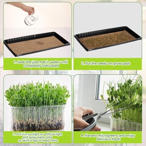 Commercial Microgreens Planting Kit Self <strong>Watering</strong> Home Growing Microgreen <strong>Tray</strong> Growing Indoor Microgreens Growing Kit - Product Image 4