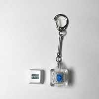 Custom Keycaps Mechanical Keyboard Caps XDA OEM Cherry Profile R4 1U PBT ABS Custom Design Keycap Fidget Keychain Clicker Caps