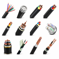 25kV 100% Isolationsgrad Einadriges Kupferkabel XLPE PVC-Isoliertes Armiertes Stromkabel 25mm 35mm 50mm 70mm 95mm