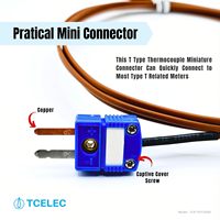 Câble de thermocouple de type T -200~350 ° Sonde de capteur de température avec connecteur bleu, longueur personnalisable disponible