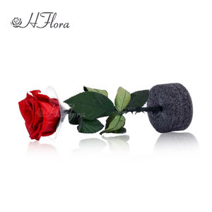 وصل حديثًا زهور زهرة طويلة وحافظة على جذع طويل وورود أوستن محفوظة بلمسة حقيقية لتزيين ترتيب الزهور - Product Image 5