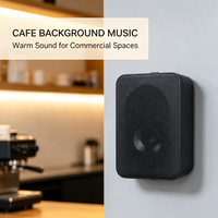 Haut-parleur mural à tension constante 20W, 110V, woofer et tweeter de 4 pouces, enceintes PA commerciales pour hôtel, supermarché, usine, vente en gros
