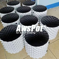 Pot de taille racinaire en HDPE de 20, 1, 3, 5 gallons, stabilisé aux UV, pour la culture de carottes, tomates, plantes, framboises, arbres fruitiers, myrtilles et olives