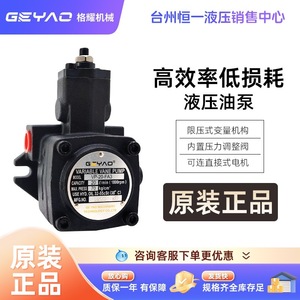 ปั๊มไฮดรอลิกแบบใบพัดปรับได้ Geyao รุ่น VP-15/20/30/40-FA3 กำลัง 2 แรงม้า สำหรับใช้งานในอุตสาหกรรม - Product Image 2