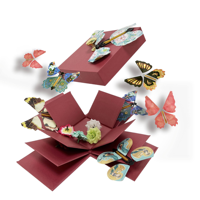 Boîte en carton créative personnalisée pour bonbons, bonbons à l'explosion, aliments pour animaux de compagnie, bonbons au sucre - Embossée, recyclable, cadeau pour anniversaire et Fête des Mères