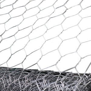 High Quality Chicken Wire <strong>Netting</strong>/galvanized <strong>Hexagonal</strong> Wire <strong>Mesh</strong> - Product Image 1
