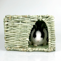 Petits animaux cochons d'Inde grande herbe lapin maison pliable tissé jouer lit caché tapis de foin jouet à mâcher pour lapin gerbilles hamster