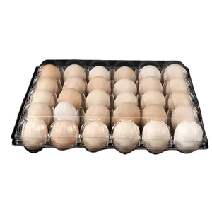 High Quality Paper Egg Dispos Tray Black Supplier
