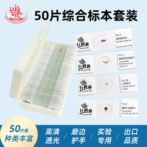 Biological Specimen Slide Set (25 slides / 50 slides) - Brand New Combination, Clear and Vivid Content, <b>Microscope</b> Accessories, - Product Image 5