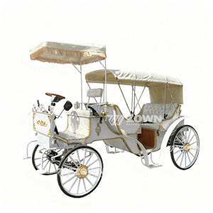 Calèche touristique rétro élégante, électrique ou à chevaux, calèche royale pour la visite des sites touristiques, à vendre - Product Image 1