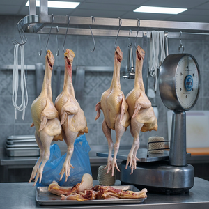 Pollo Entero Congelado Grado A, Cajas (10-20 kg), Suministro a Granel para Distribución de Alimentos, Origen Sudáfrica - Product Image 3