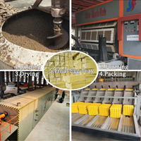 Machine de fabrication de barquettes à œufs et de cartons en pâte à papier 5000 pièces/heure avec moteur PLC, boîte de vitesses et sécheur