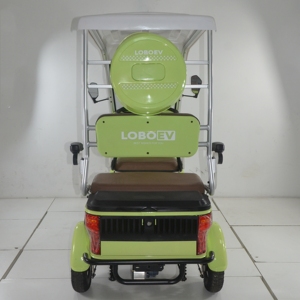 800W 1000W chariot électrique quatre roues passager <span class=keywords><strong>E</strong></span> vélo électrique vélo électrique pour les personnes âgées utilisation familiale - Product Image 5